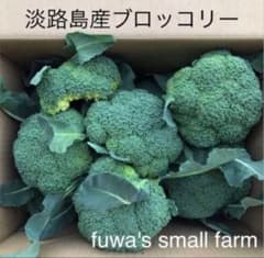 淡路島産 ブロッコリー ８０サイズのサムネイル