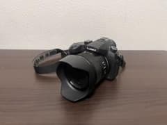美品】Panasonic LUMIX DMC-FZ1000 [SC 1834] - メルカリ