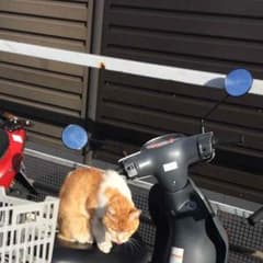 しん様専用のサムネイル