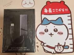 Astell&Kern IRV-AK-HC2 Dark Silver 新品未開封のサムネイル
