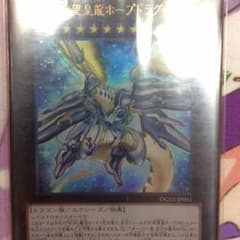 かず様専用のサムネイル