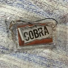 岩田剛典 COBRA コブラ ネームのサムネイル