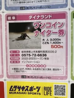 ダイナランド　ナイター　割引券のサムネイル