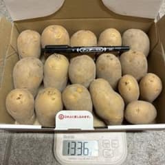 じゃがいも　6種　種芋サイズ　自然栽培　⑨1336gのサムネイル
