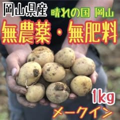 岡山県産 野菜 完全無農薬・無肥料 メークイン （新じゃがいも）1kgのサムネイル