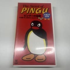 m20765720558_1.jpg?1756351961