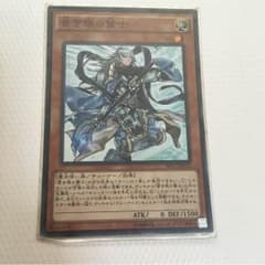 アキヒロ様専用 青き眼の賢士のサムネイル