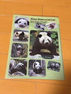 ❣️安値❣️上野動物園 シャオシャオ レイレイ クリアファイル！即
