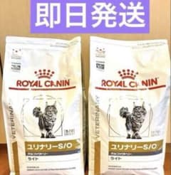 ロイヤルカナン ユリナリー オルファクトリー ライト 4kg×2 - メルカリ