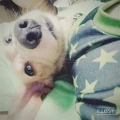 KOZ..♡様専用 マタニティ デニムのサムネイル