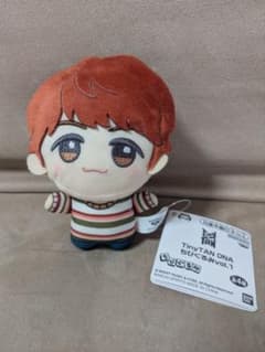 BTS TinyTAN DNA 치비구루미 vol.1 j-hope 호석