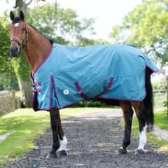 【お値下げ】乗馬用品　DERBY HOUSE PRO ターンアウト用ラグ　馬術のサムネイル