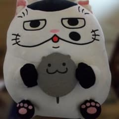 猫のぬいぐるみ 鈴付きのサムネイル