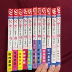 兄に愛されすぎて困ってます 1のサムネイル