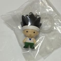 HUNTER×HUNTER 메지루시 액세서리 GI편 곤