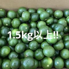 沖縄県産 青切りシークヮーサー(農薬不使用)のサムネイル