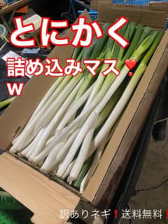 長ネギ❣️訳ありネギ ❣️とにかく詰め込みます❗️w   9.5kg記録　送料込みのサムネイル