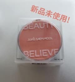 JUNG SAEM MOOLアーティストクッションブラッシュ・ピーチネクター