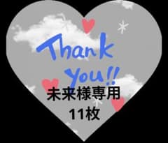 未来様専用。11枚のサムネイル