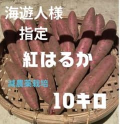 海遊人様指定 紅はるか 減農薬栽培 10キロのサムネイル