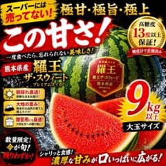 即発送 熊本県産 羅王ザ・スウィート プレミアムスイカ 9kg以上 - メルカリ