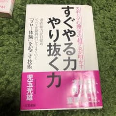すぐやる力 やり抜く力 潜在能力が目覚めすべてが驚異的にうまくいく「フロー体験…のサムネイル