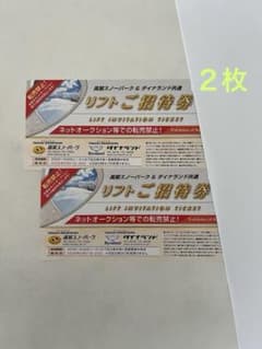 バラ売り可】 高鷲スノーパーク & ダイナランド 共通 リフト券 2枚