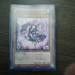 桜姫タレイアのサムネイル