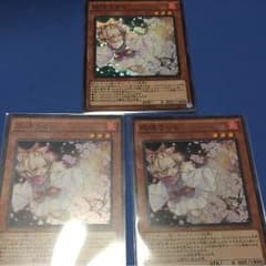 遊戯王 灰流うらら スーパーレア 3枚セットのサムネイル