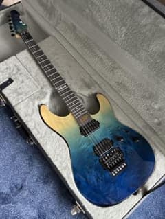 E-II SN-II Blue Natural Fade 純正ハードケース付のサムネイル