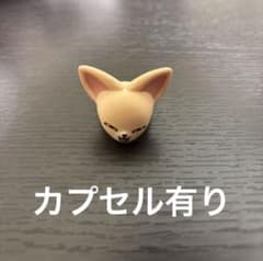 SKZOOぷくっとリング　フォクシニー　アイエンのサムネイル