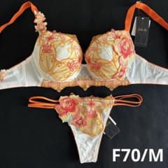 サルート サイケデリック F70/M IV 61 P-upブラ ソング タンガ - メルカリ