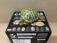 動物の惑星】超激レア☆アカミミガメ（廃盤シークレット）☆フィギュア