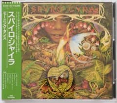 SPYRO GYRA Morning Dance CDのサムネイル
