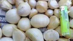 長野県産無臭ニンニク　おすそわけのサムネイル