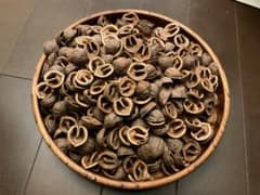フミ様専用　天然くるみの殻 飾り用素材 大量セットのサムネイル