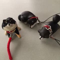 柴犬黒 ガチャ 三匹のサムネイル