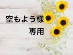 【空もよう様専用】のサムネイル