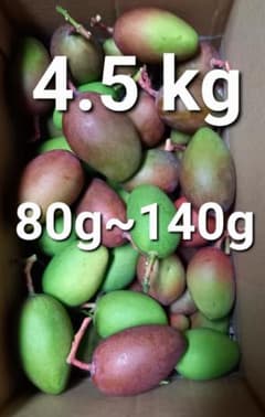 マンゴー+摘果/4.5 kg including box/コンビニ/ATM ❌️ - メルカリ
