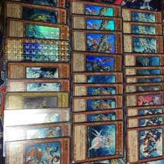 遊戯王海皇水精鱗デッキパーツのサムネイル