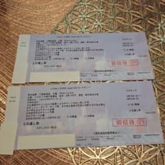 ジゴロック2026 2日通し券 ペアチケット - メルカリ