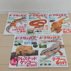 レプタイルズFan 創刊号からvol5 ５冊セットのサムネイル