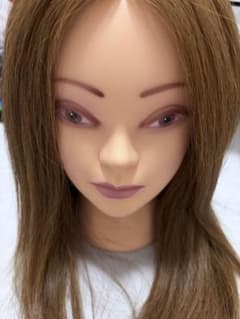 ユーロプレステージ Mー06N アップ マネキン ウィッグ セット