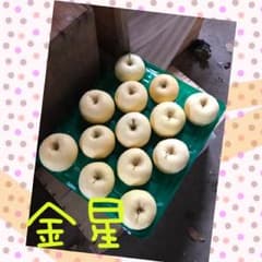 青森県産 「金星」のサムネイル
