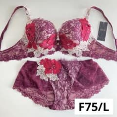 ワコール/サルート 69 店舗限定 新品タグ付 P-upブラソング F75 サルート メキシコ 店舗限定 F75/L WI P-upブラ ヒップハング 69