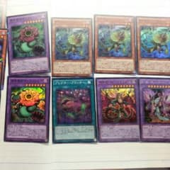 補色植物パーツのサムネイル