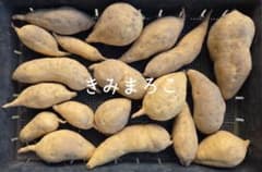 きみまろこ さつまいも 掘りたて　4キロ(箱込)のサムネイル