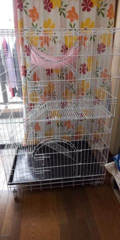 大型猫ゲージです！お値下げしました！のサムネイル