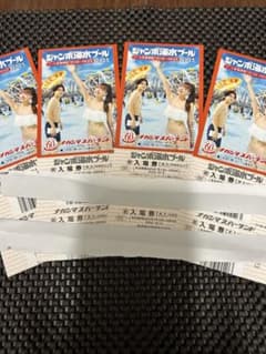 ナガシマスパーランド　ジャンボ海水プール　入場券　大人4枚のサムネイル