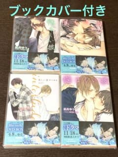 美しい彼 小説 全巻セットのサムネイル